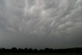 Eifelmammatus0507 023a.jpg